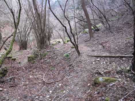 20170113hike (417)